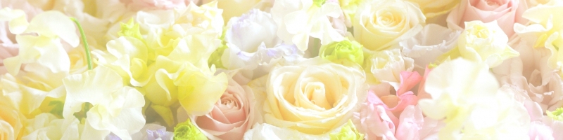 �h���`�{�[�����T�C�g